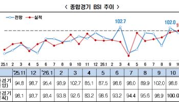 “경제 좋아진다더니”…제조업 경기 전망 두 달째 싸늘