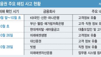 은행 넘어 증권·코인까지 뚫렸다…금융권 보안망 ‘속수무책’