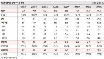 에프엔에스테크, IT OLED 투자 지연에 목표가 22% 하향-SK