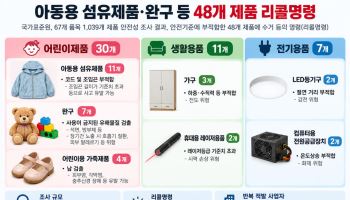 어린이 완구서 발암물질 석면 검출…안전기준 위반 48개 제품 리콜
