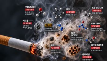 담배 465종서 발암물질 검출…정부, 가향담배 규제도 추진(종합)