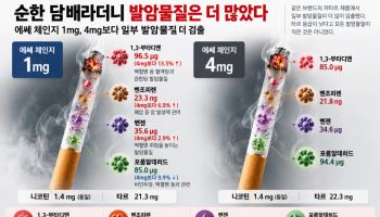 순한 담배라더니 발암물질은 더 많았다…1㎎·4㎎ 비교의 반전