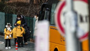 의무보험 가입하라더니 상품은 없다…성평등부는 관리 '선긋기' (종합)