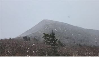 설악산에 올해 첫눈…지난해보다 9일 늦어