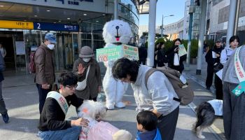 반려견과 남천 걷고 달린다…경산반려문화축제 11월 7일 개막