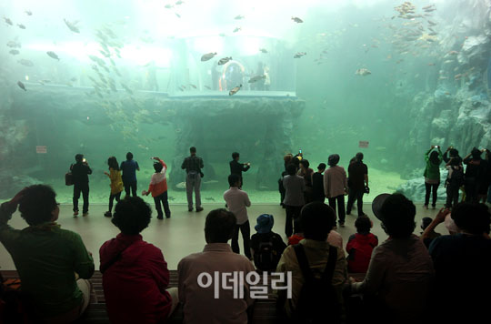 [포토]2012 여수엑스포 `내 눈앞에 펼쳐진 대형 아쿠아리움`