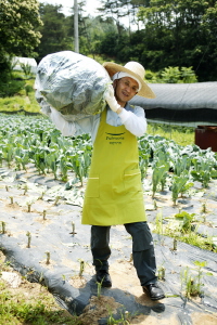 풀무원, 유기농가 돕기 임원 봉사활동 펼쳐