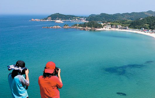 한국인 98% "여름휴가 꼭 간다"