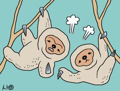 신혼에 싸움질만… 알고보니 ‘둘다 수컷’