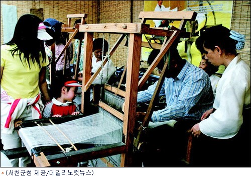 "잠자리 날개보다 고운 모시 날개옷 보러가요"