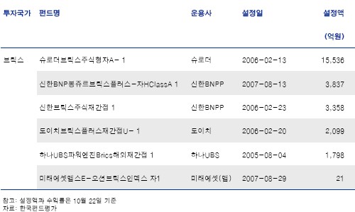 `브릭스 주목`.. 펀드로 투자하는 두가지 방법