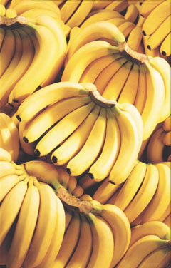 바나나에 대한 진실과 오해
