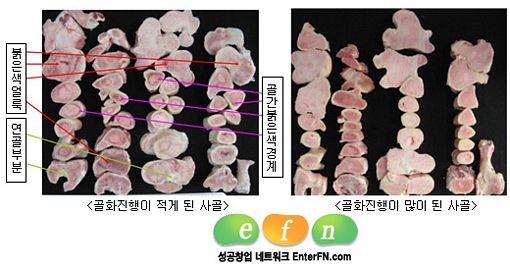 좋은 한우사골 찾는 방법은