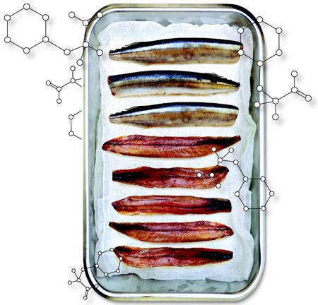 과메기·홍어 알고 먹으면 더 맛있다