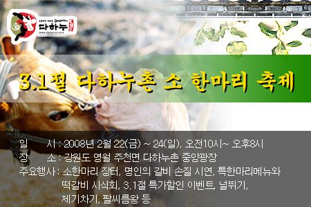 3.1절 다하누촌 소 한마리 축제, 한우 한마리 몰고가세요~!