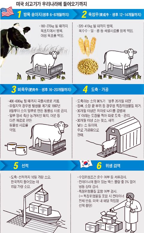 "미국 쇠고기, 이것이 알고싶다"