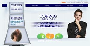 내피 없는 가발, 탑위그(TOPWIG)