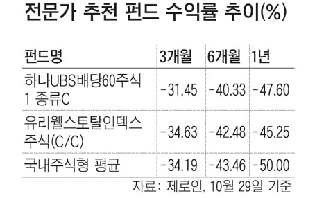 안정·성장 두 토끼 잡으려면 국내 배당주펀드를