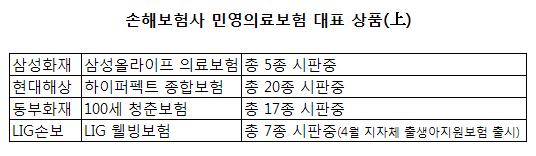 (민영의보 百戰百勝)③대형손보 상품 `든든하네`