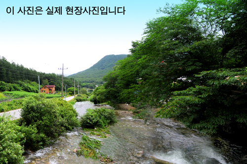 1천만원대 토지매각 재테크+계곡펜션(민박)형부지 한정매각