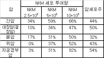 엔케이바이오 "치료제 `NKM` 동물실험서 항암효과 확인"