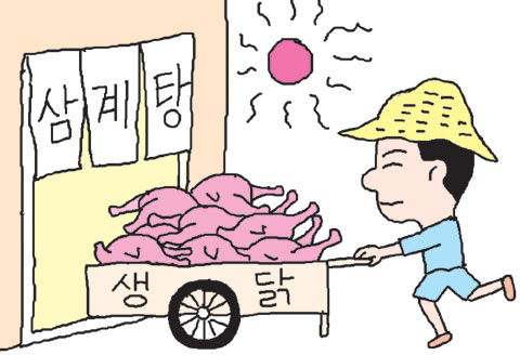 벌써 보신의 계절?… 생닭, 날개 돋친 듯 팔려