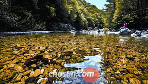 아무것도 더하지 마 지금이 절정이야