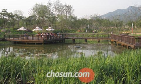 초록빛에 젖고… 역사 향기에 취하고