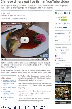 (VOD)中, 산채로 먹는 물고기 요리에 외신들 ''기겁''