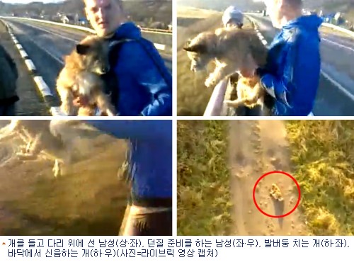 다리에서 개 던지는 영상…네티즌 수사대 출동