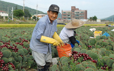 겨울철 “비염”치료, 면역력 강화가 가장중요!