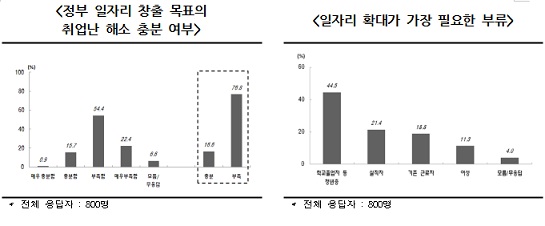 "정부 일자리 목표 25만개..취업난 해소에 역부족"