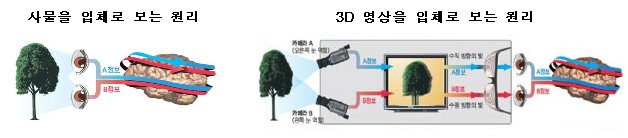 바야흐로 3D시대‥"5년후 콘텐츠 20% 3D로 제작"