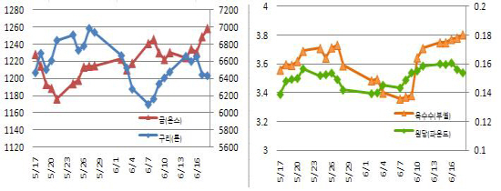 (Commodity Watch)금값 사상최고..1258.30弗