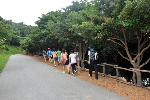 완도수목원 `치유의 숲길` 산림욕 효과 톡톡