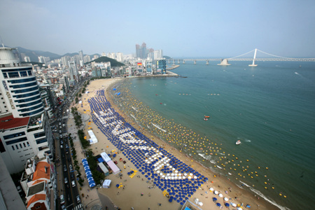 현대차 `신형 아반떼`, 패션쇼와 만나다