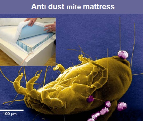 "진드기 죽이는 매트리스"..獨 첨단 섬유기술 `눈에 띄네`