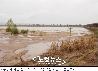 조선신보 "신의주 수해, 15년전 대홍수보다 피해 혹심"