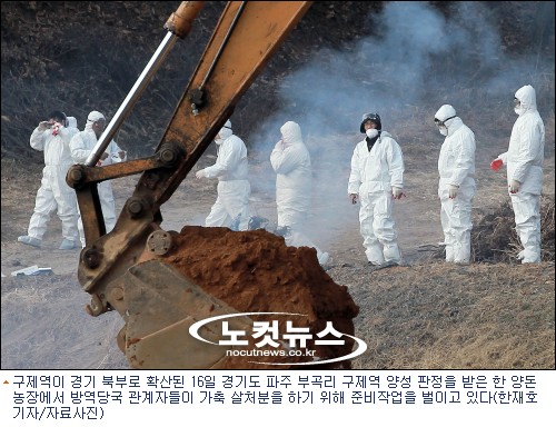 죽이고 옮기고…살처분 동원 공무원들 ''헉헉''