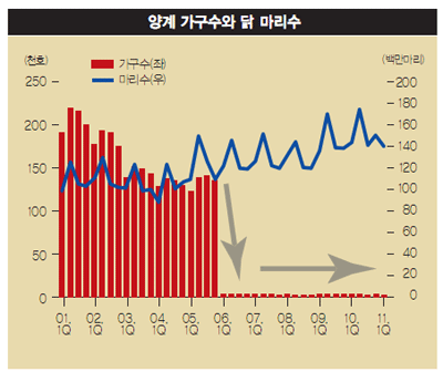 닭과 돼지, 막오른 영토전쟁