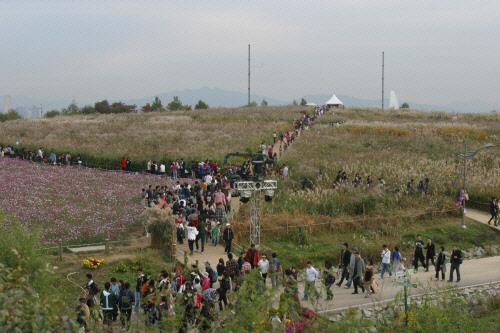 "서울 도심에서 억새축제 즐기세요"