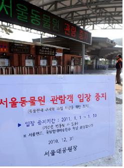 `탈주극 벌인 곰`·`야동 본 고릴라`···서울동물원 10대 뉴스