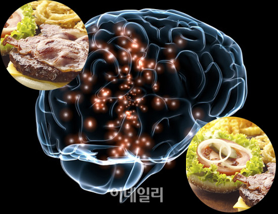 와글와글 클릭]인스턴트 음식, 비만에 뇌 손상까지 유발?
