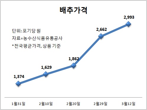 4~5월 배추파동 우려…정부 대책마련 부심