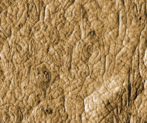 화성에서 `화산 활동` 증거 포착, 똬리 모양 지형 269개 발견
