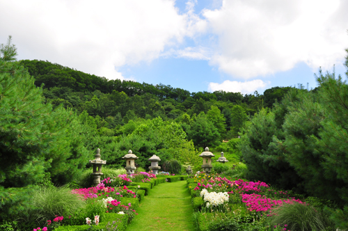 5월 가정의 달 청양 “고운식물원”이 최고