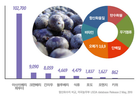 블루베리보다 황산화수치 20배 높은 `아사이베리` 인기