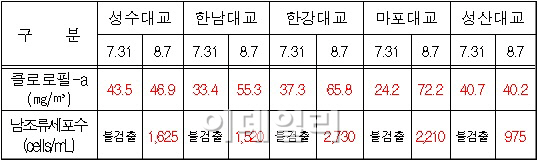 서울시 "남조류, 한강 하류까지 확산"