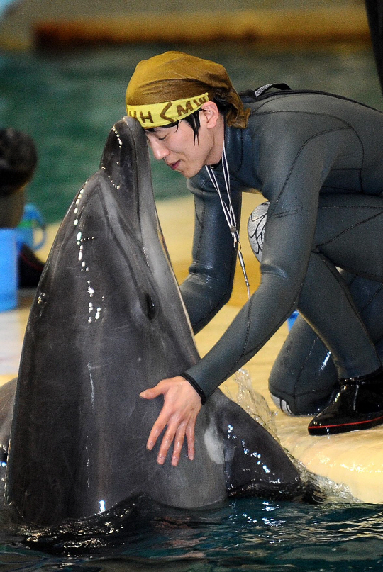 돌고래 '제돌이' 자연방사 시민단체 모금나서