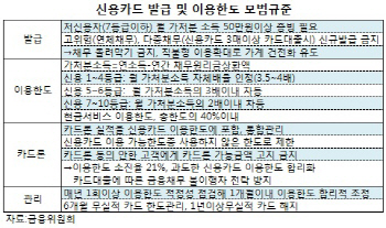 가처분소득따라 신용카드 한도 달라진다